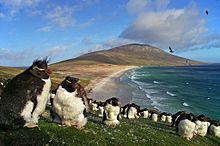 Presentation: The Falkland Islands - Cancelled @ Garners Field, Tilford | England | United Kingdom